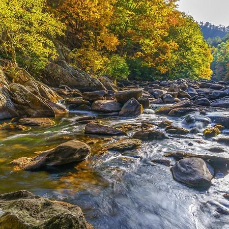 Sweet Dreams Whispering Pines 313 Διαμέρισμα Pigeon Forge Εξωτερικό φωτογραφία